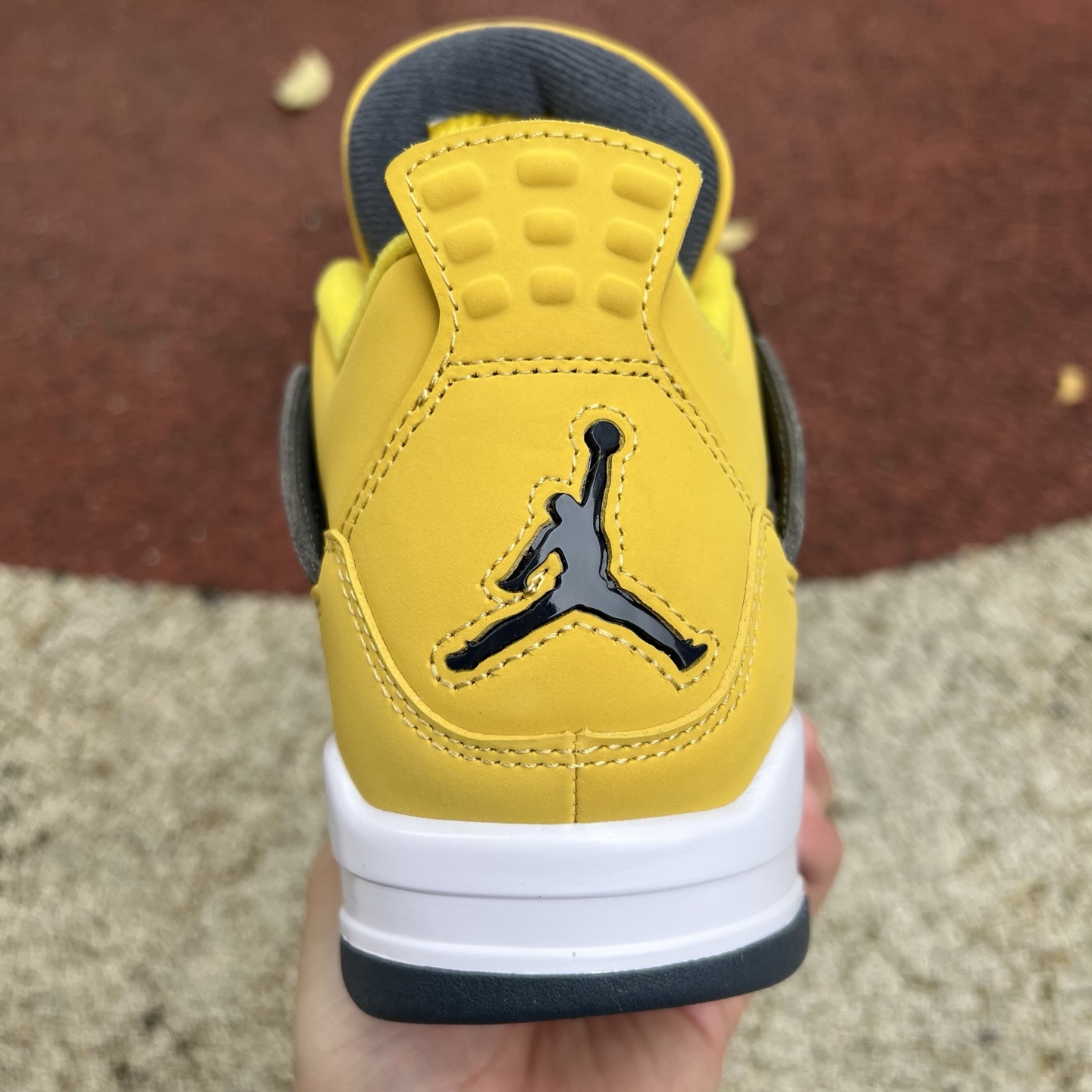 Nike Jordan shoe
